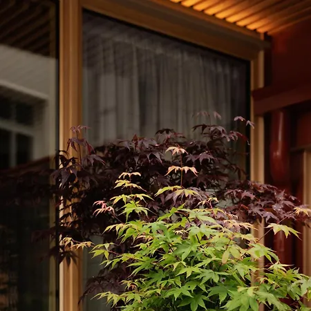 Hotel Skostredet & 5*