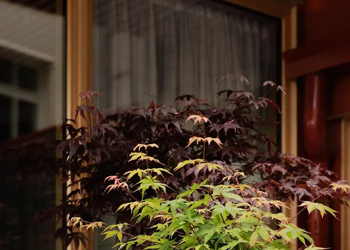 酒店 Skostredet & 5*